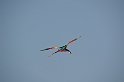 bray dunes 2018 164